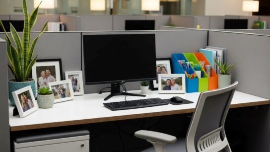 Organized office cubicle with desk plants, framed photos, and colorful storage containers in modern workplace