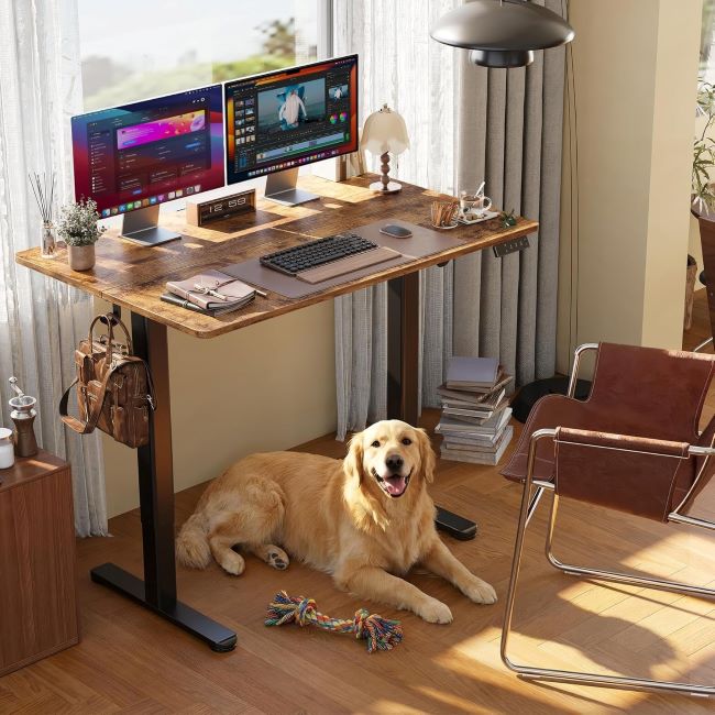 Claiks electric height-adjustable standing desk, 24x48 inches, sit-stand home office desk with black frame and rustic brown top