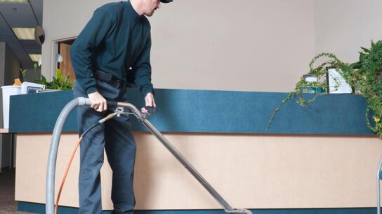 Professional Carpet Cleaner