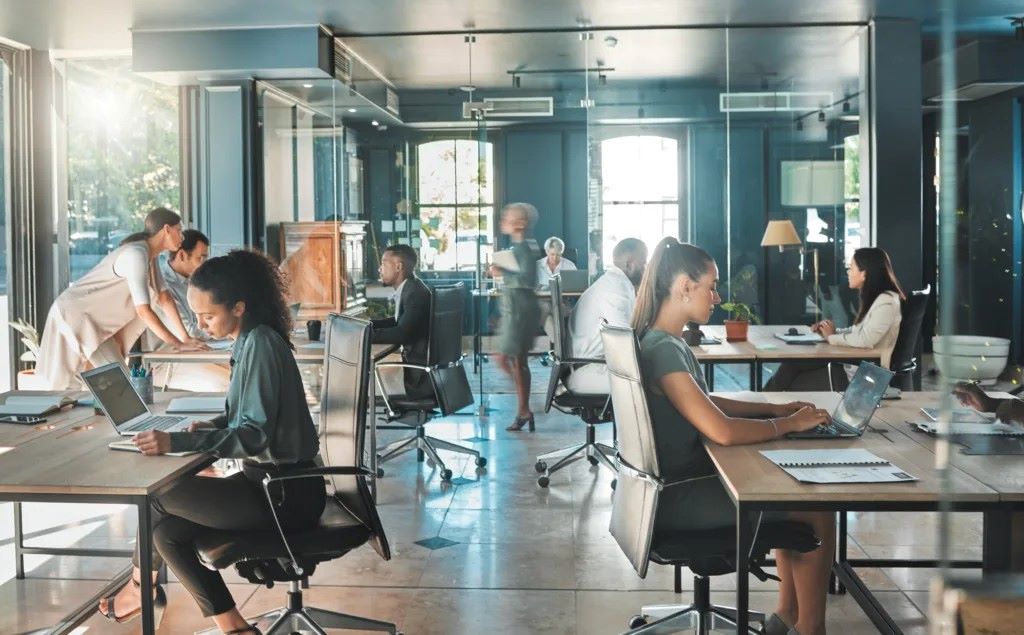 Modern office arranged neatly to boost productivity, efficiency, and workflow